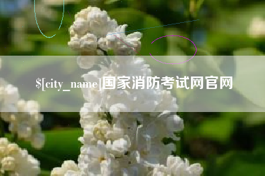 石河子国家消防考试网官网