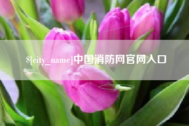 石河子中国消防网官网入口