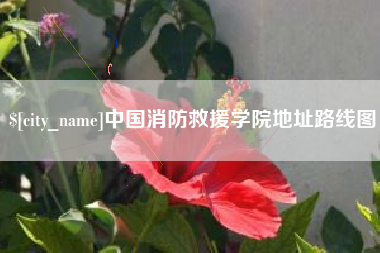 石河子中国消防救援学院地址路线图