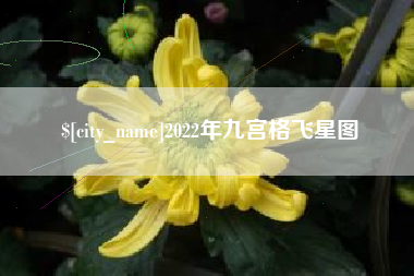 石河子2022年九宫格飞星图
