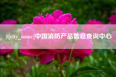 石河子中国消防产品信息查询中心