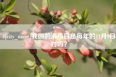 石河子我国的消防日是每年的11月9日对吗？