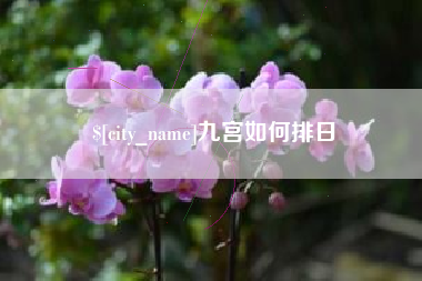 石河子九宫如何排日