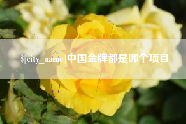 石河子中国金牌都是哪个项目