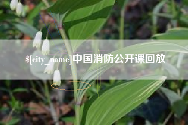 石河子中国消防公开课回放