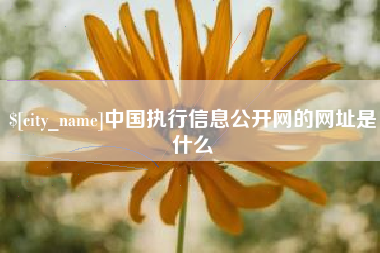 石河子中国执行信息公开网的网址是什么
