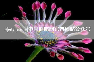 石河子中国消防网官方网站公众号