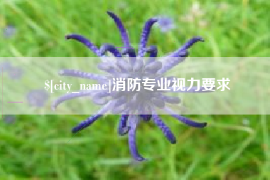 石河子消防专业视力要求