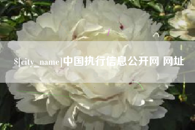 石河子中国执行信息公开网 网址