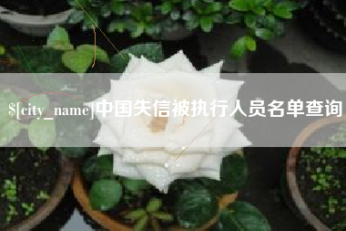 石河子中国失信被执行人员名单查询