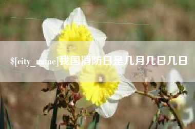 石河子我国消防日是几月几日几日
