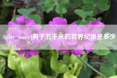 石河子男子五千米的世界纪录是多少