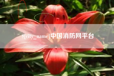 石河子中国消防网平台
