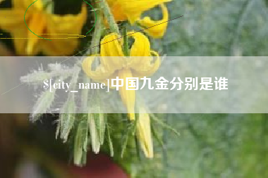 石河子中国九金分别是谁