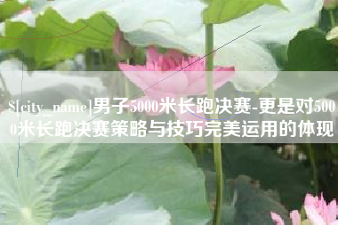 石河子男子5000米长跑决赛-更是对5000米长跑决赛策略与技巧完美运用的体现