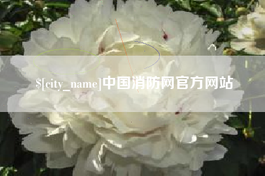 石河子中国消防网官方网站