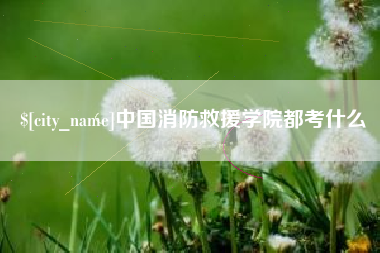 石河子中国消防救援学院都考什么