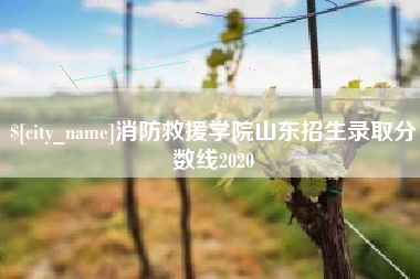 石河子消防救援学院山东招生录取分数线2020