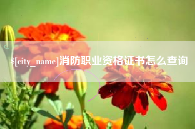 石河子消防职业资格证书怎么查询