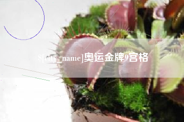 石河子奥运金牌9宫格