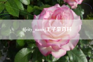 石河子王子豪百科