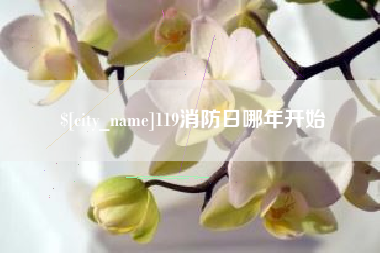 石河子119消防日哪年开始