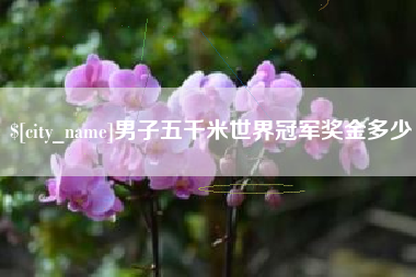 石河子男子五千米世界冠军奖金多少