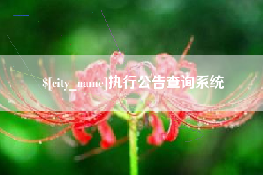 石河子执行公告查询系统