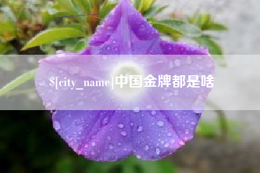 石河子中国金牌都是啥