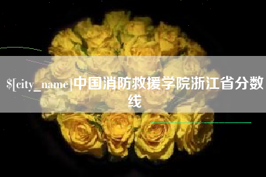 石河子中国消防救援学院浙江省分数线