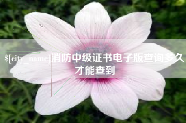 石河子消防中级证书电子版查询多久才能查到