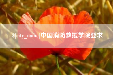 石河子中国消防救援学院要求