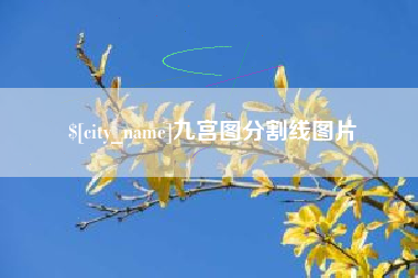 石河子九宫图分割线图片