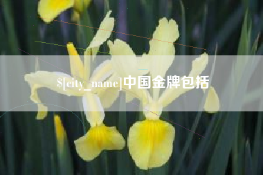石河子中国金牌包括