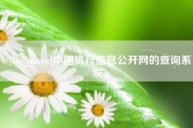 石河子中国执行信息公开网的查询系统