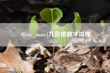 石河子九宫格数字排序