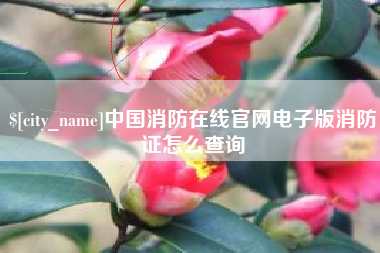 石河子中国消防在线官网电子版消防证怎么查询
