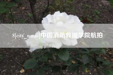 石河子中国消防救援学院航拍