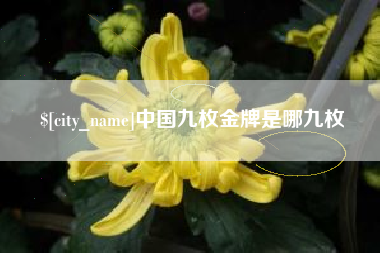 石河子中国九枚金牌是哪九枚