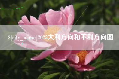 石河子2025大利方向和不利方向图