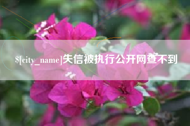 石河子失信被执行公开网查不到