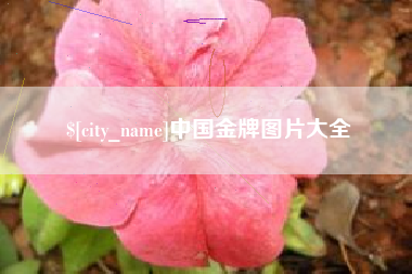 石河子中国金牌图片大全