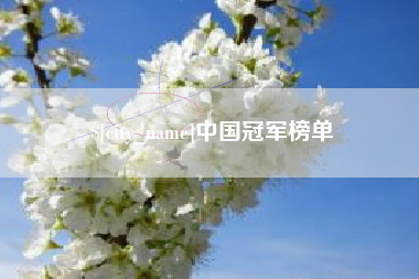 石河子中国冠军榜单