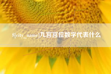 石河子九宫宫位数字代表什么