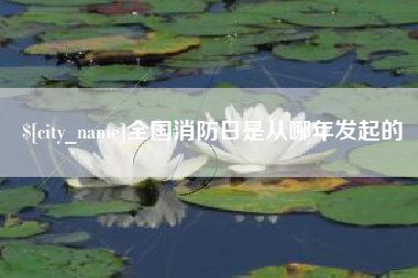 石河子全国消防日是从哪年发起的