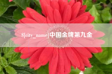 石河子中国金牌第九金