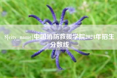 石河子中国消防救援学院2024年招生分数线