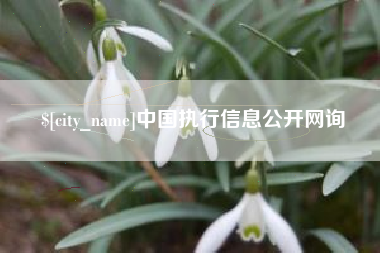 石河子中国执行信息公开网询