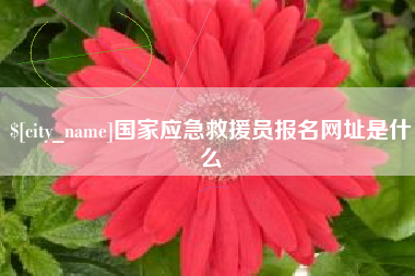 石河子国家应急救援员报名网址是什么