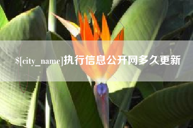 石河子执行信息公开网多久更新